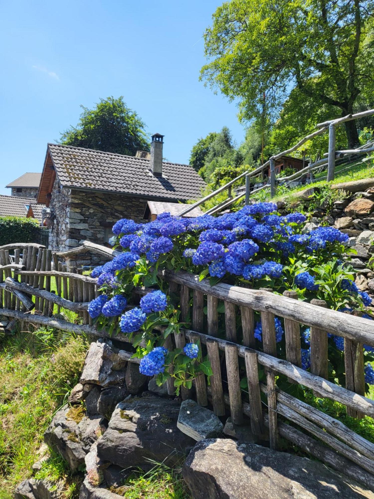 Casa Poiana Villa Ronco sopra Ascona Exteriör bild