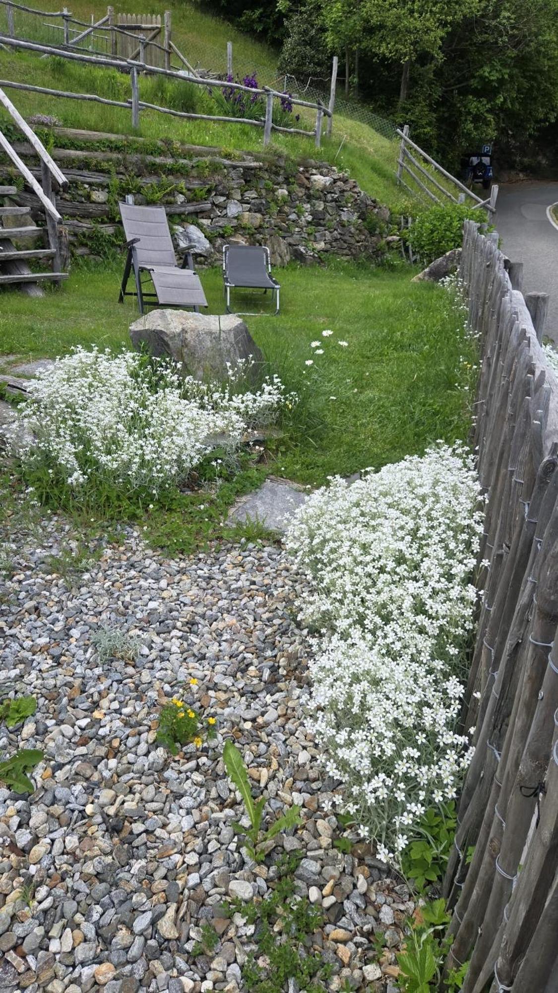 Casa Poiana Villa Ronco sopra Ascona Rum bild
